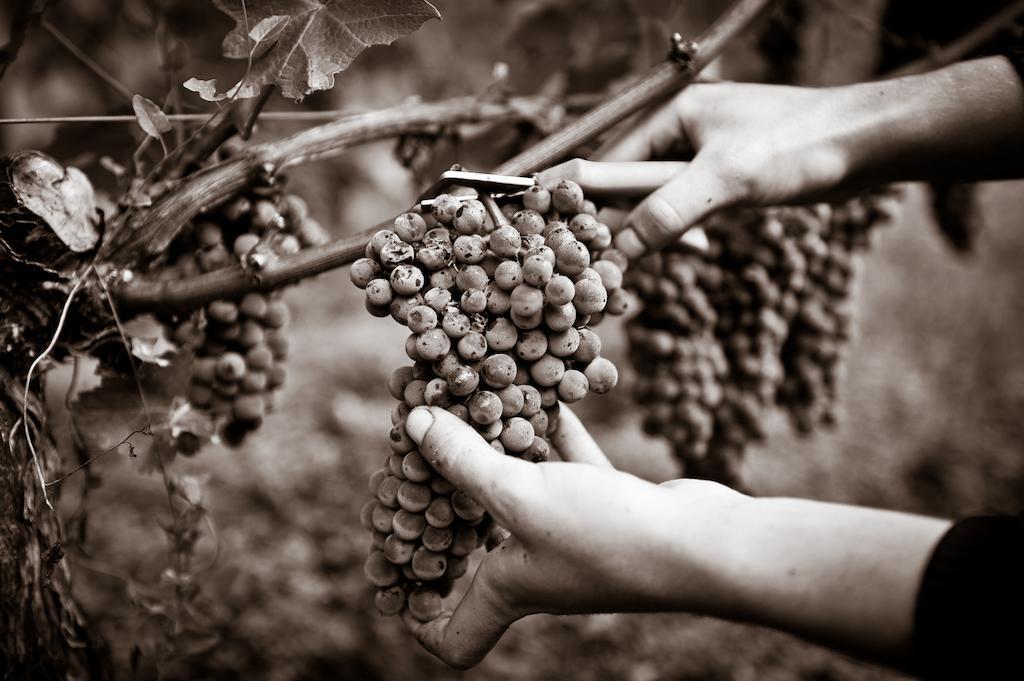 Chateau Pape Clement Pessac Ruang foto